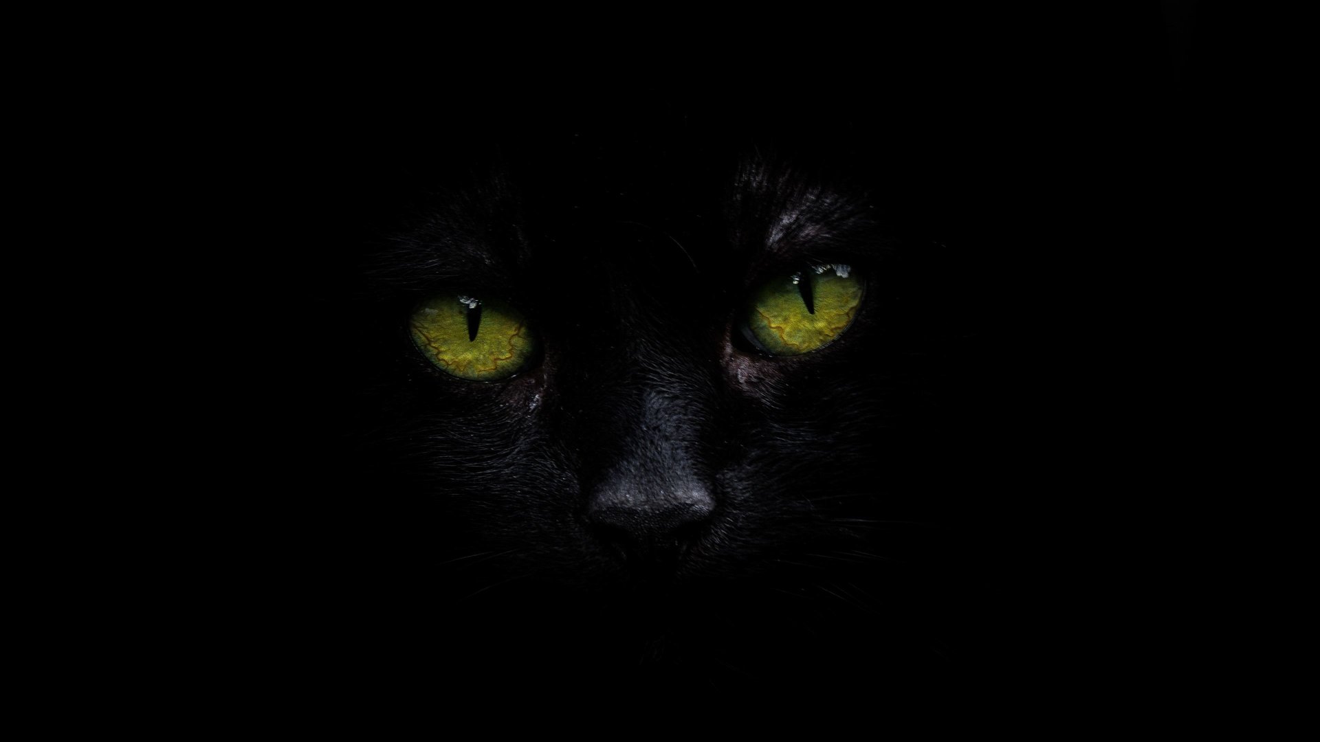 3840X2160 OLED Wallpaper.jpg