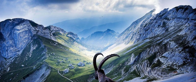 Ultra Wide 4K