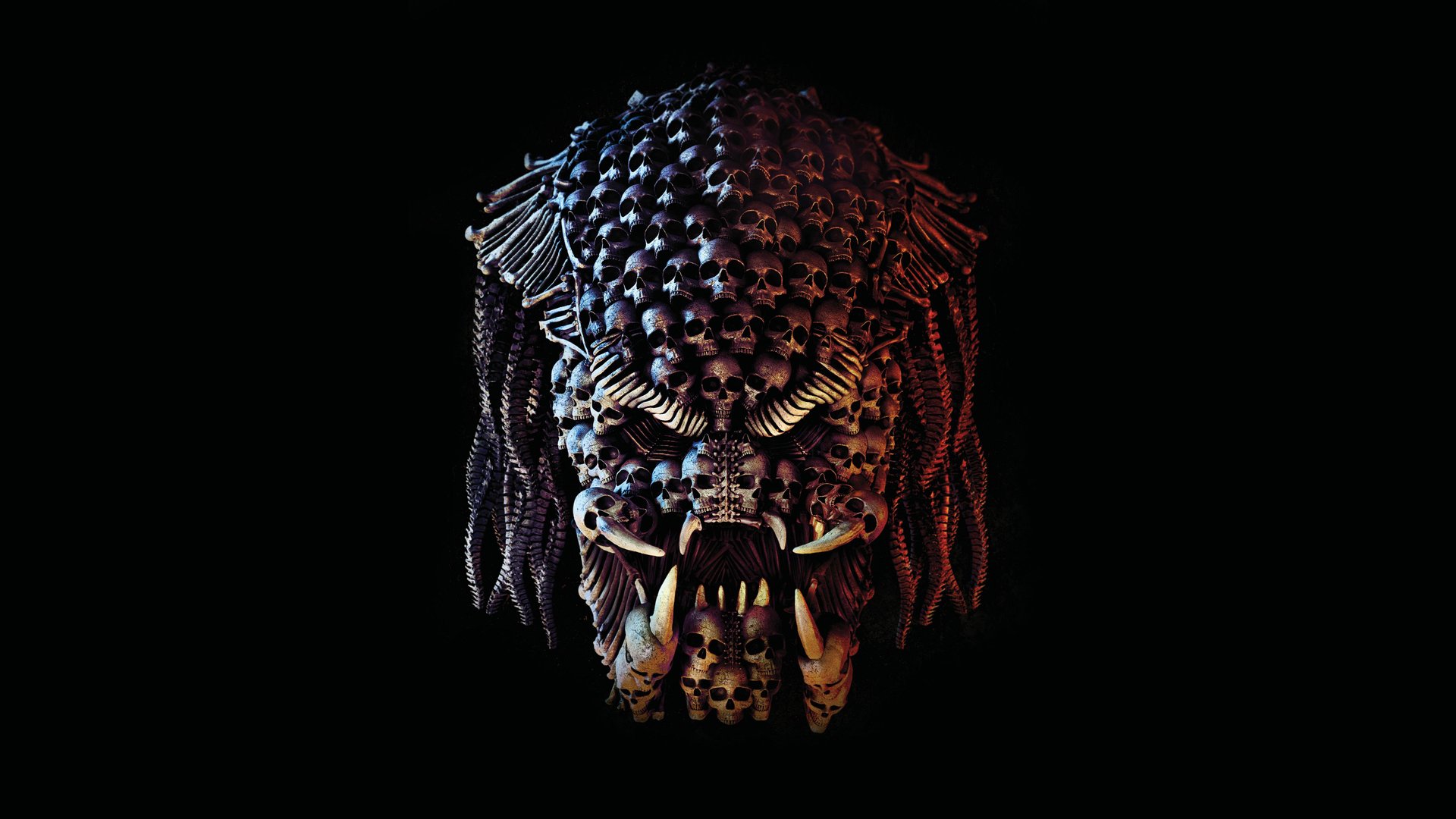 4K Predator Images.jpg