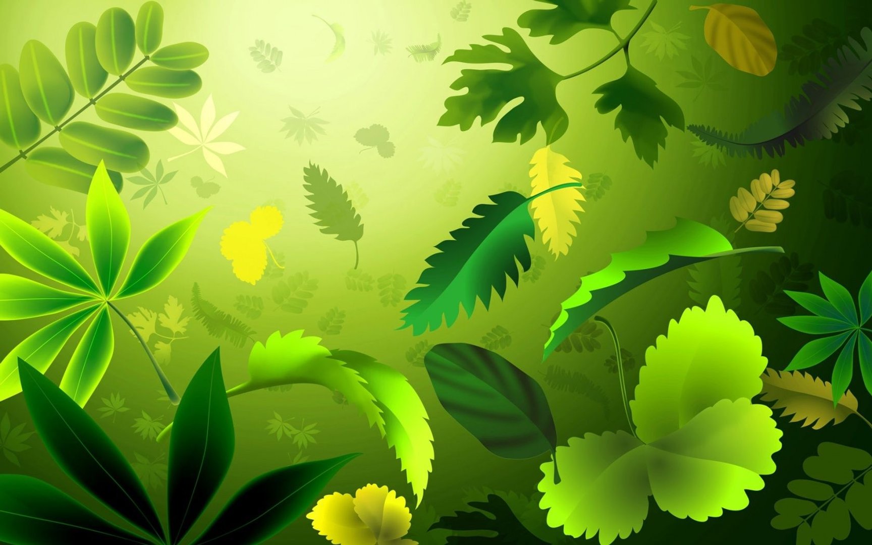 Green wallpaper wallpaper.jpg