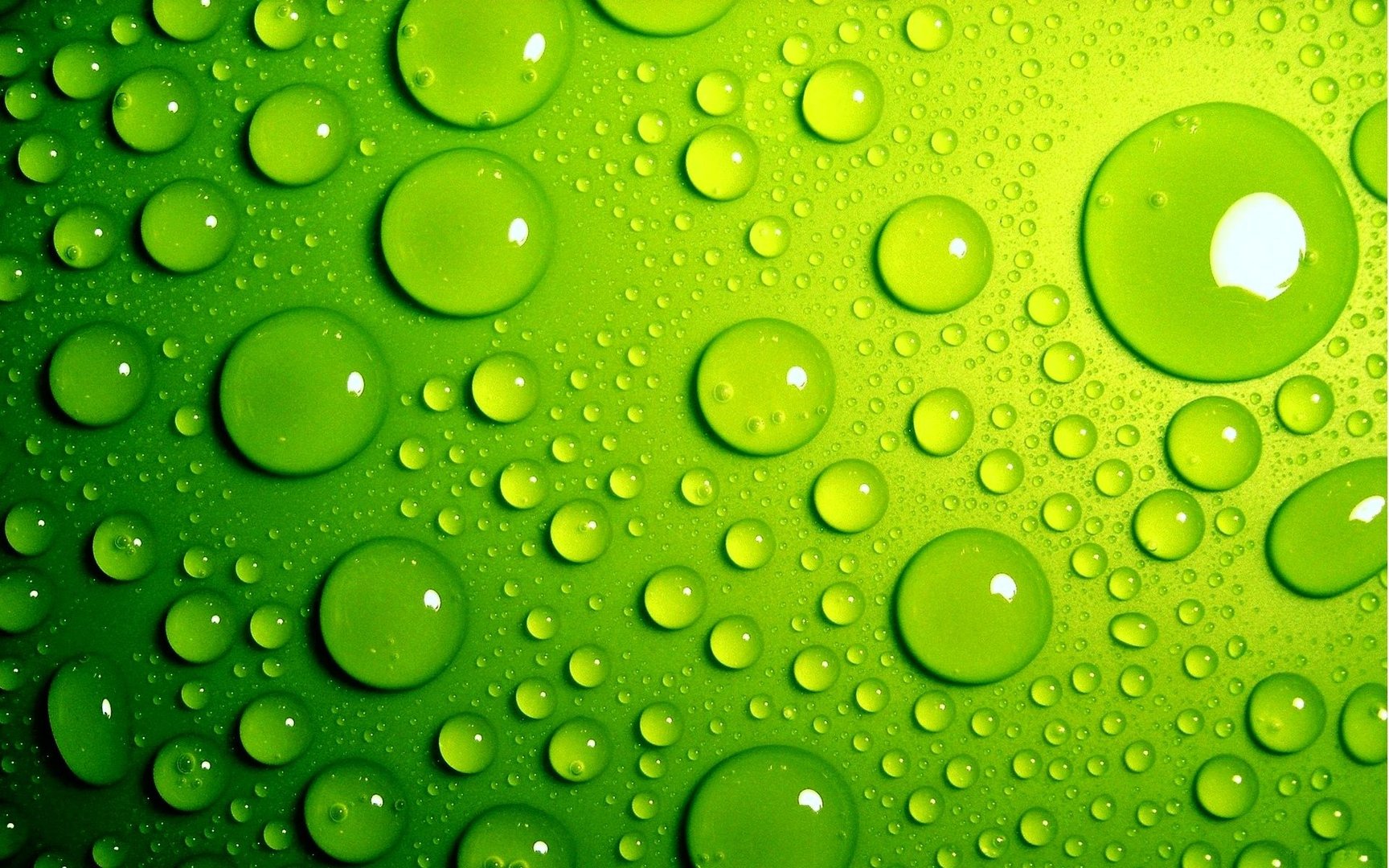 HD Green Wallpape.jpg