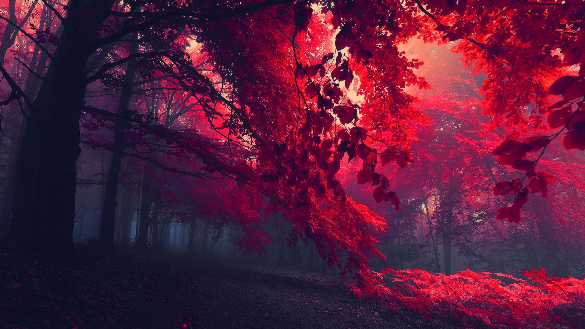 Blood Red Wallpaper.jpg