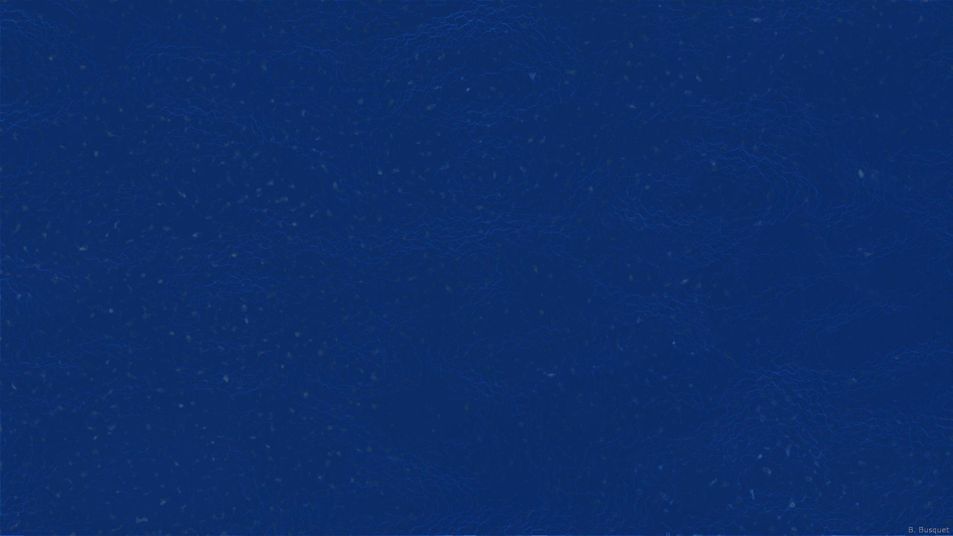 Dark Blue Pics.jpg