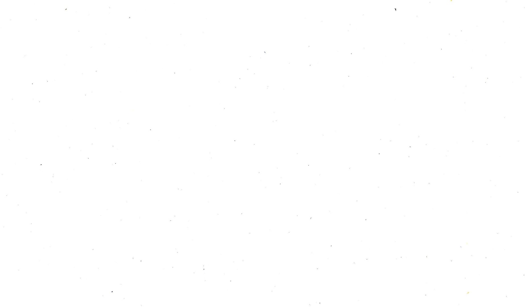 Plain White pic.jpg