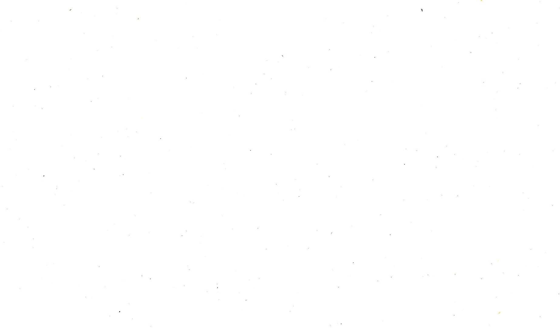 Bright White pictures.jpg