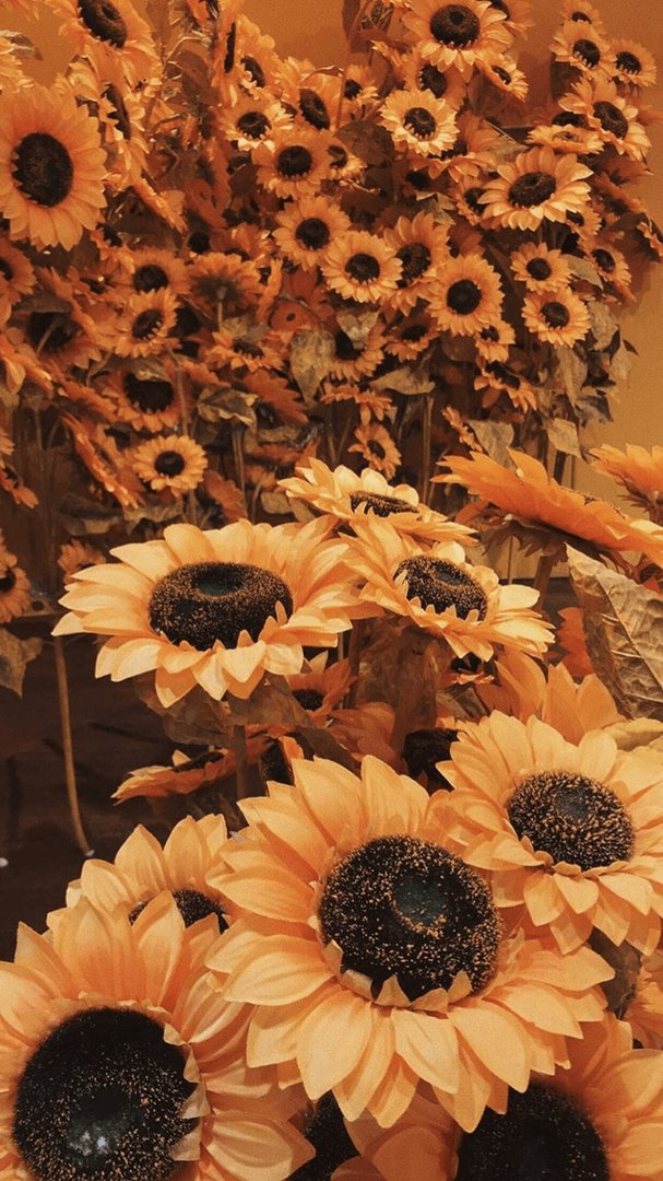 Orange Aesthetic picture.png