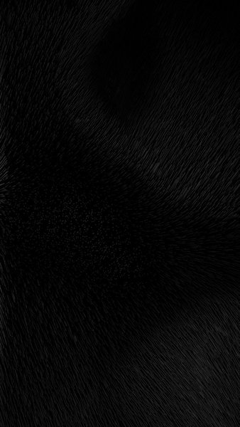 Solid Black
