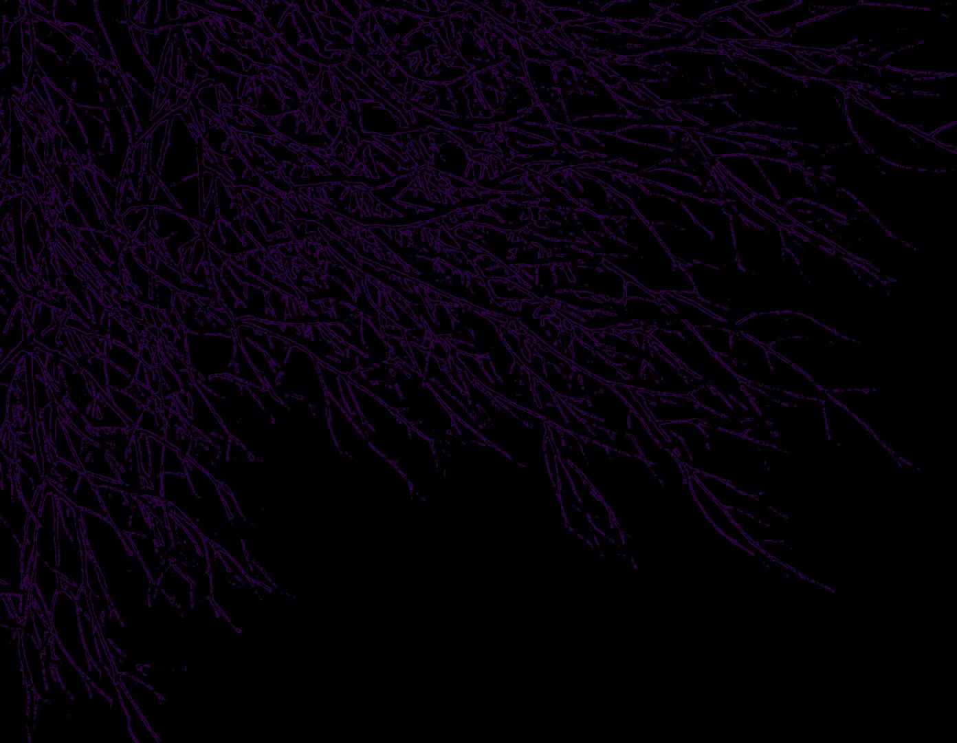 Dark Purple and Black wallpaper.png