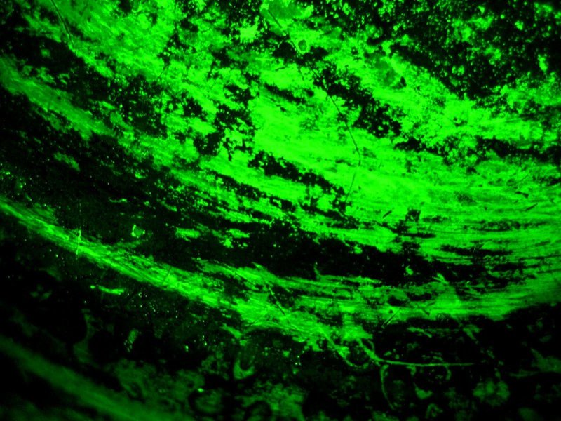 Neon Green