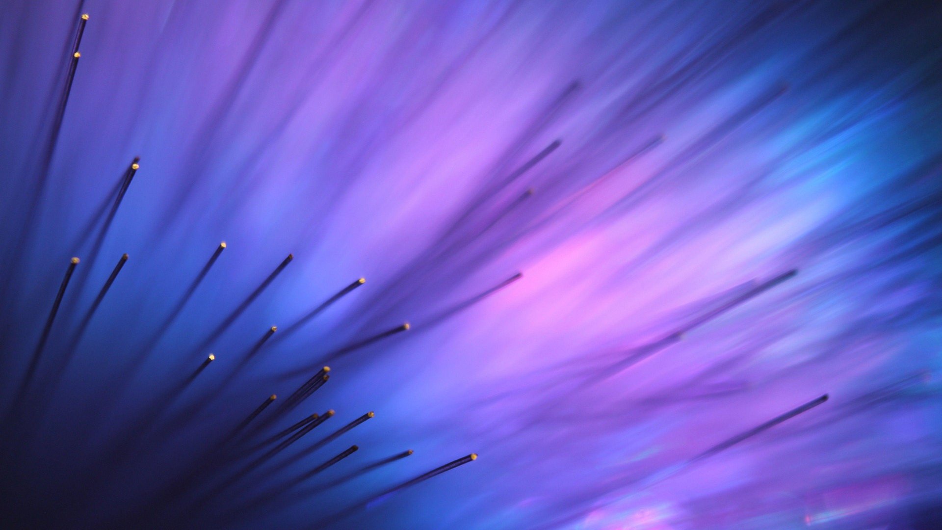 4K Purple Image.jpg