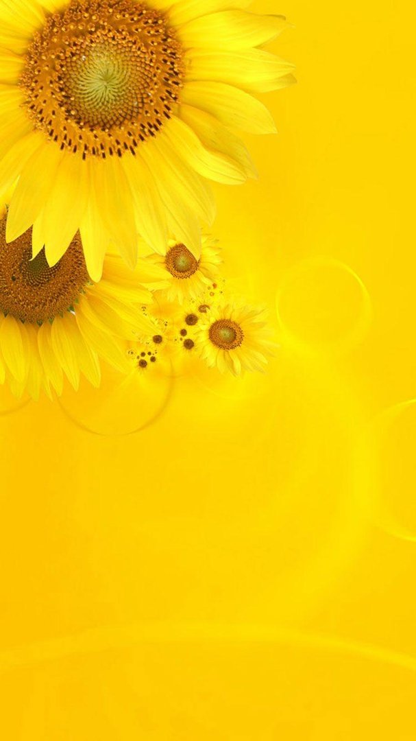 Yellow HD iPhone Wallpapers.jpg