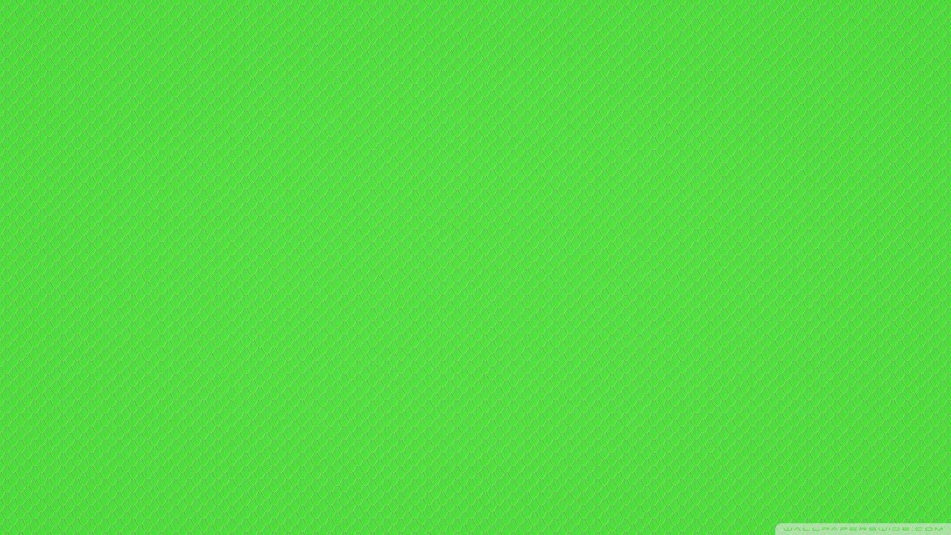 Solid Green Picture.jpg