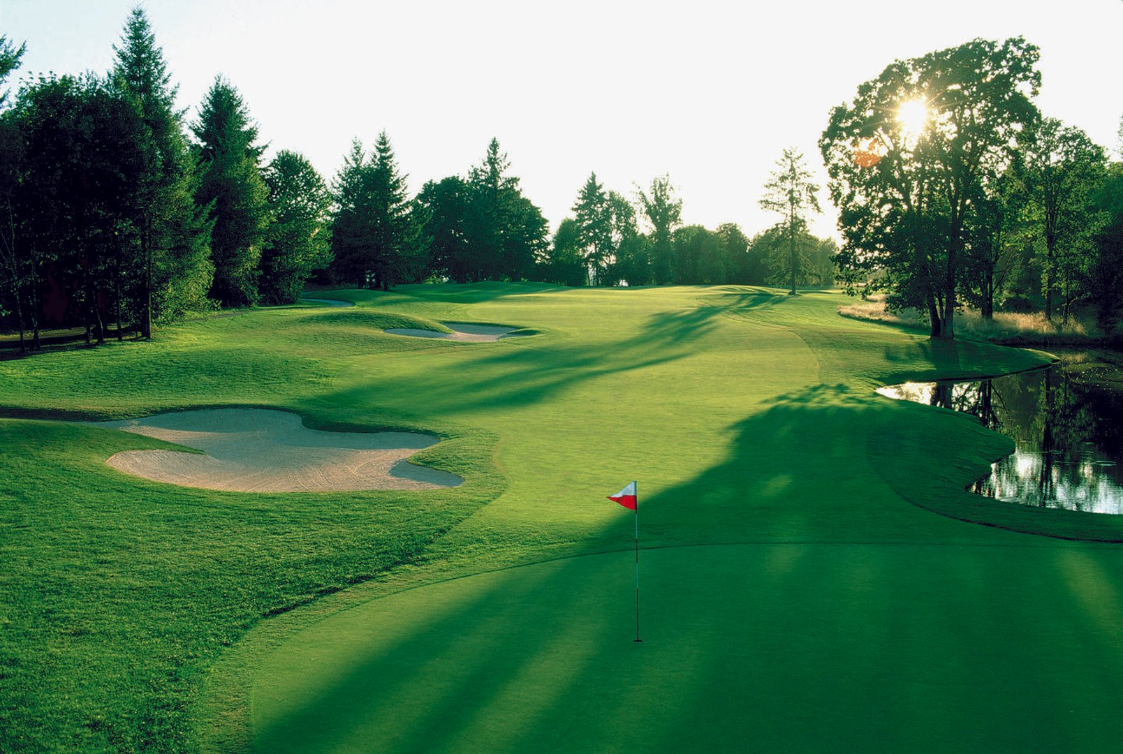 Golf Course pictures.jpg