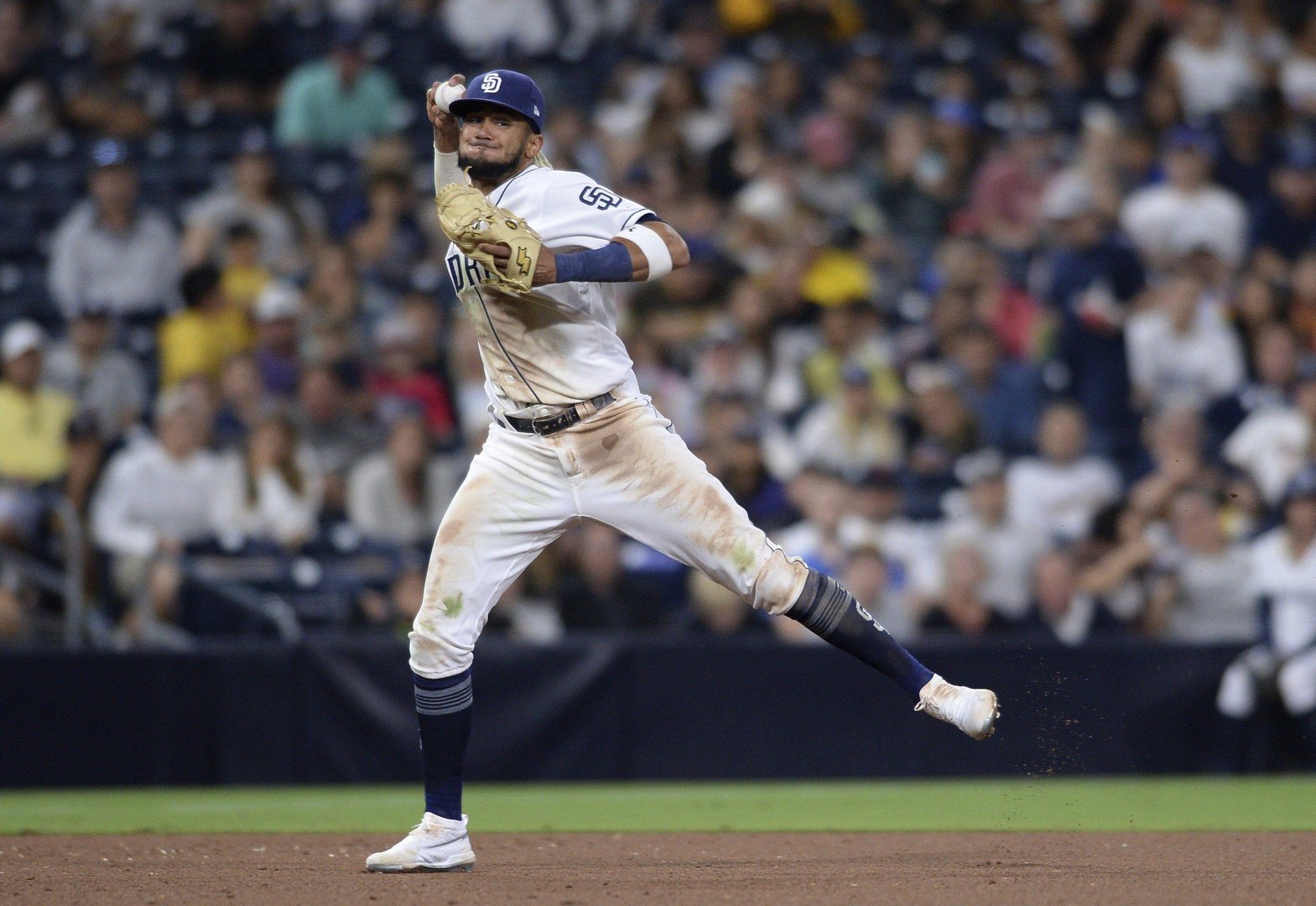 Fernando Tatis Jr wallpapers.jpg