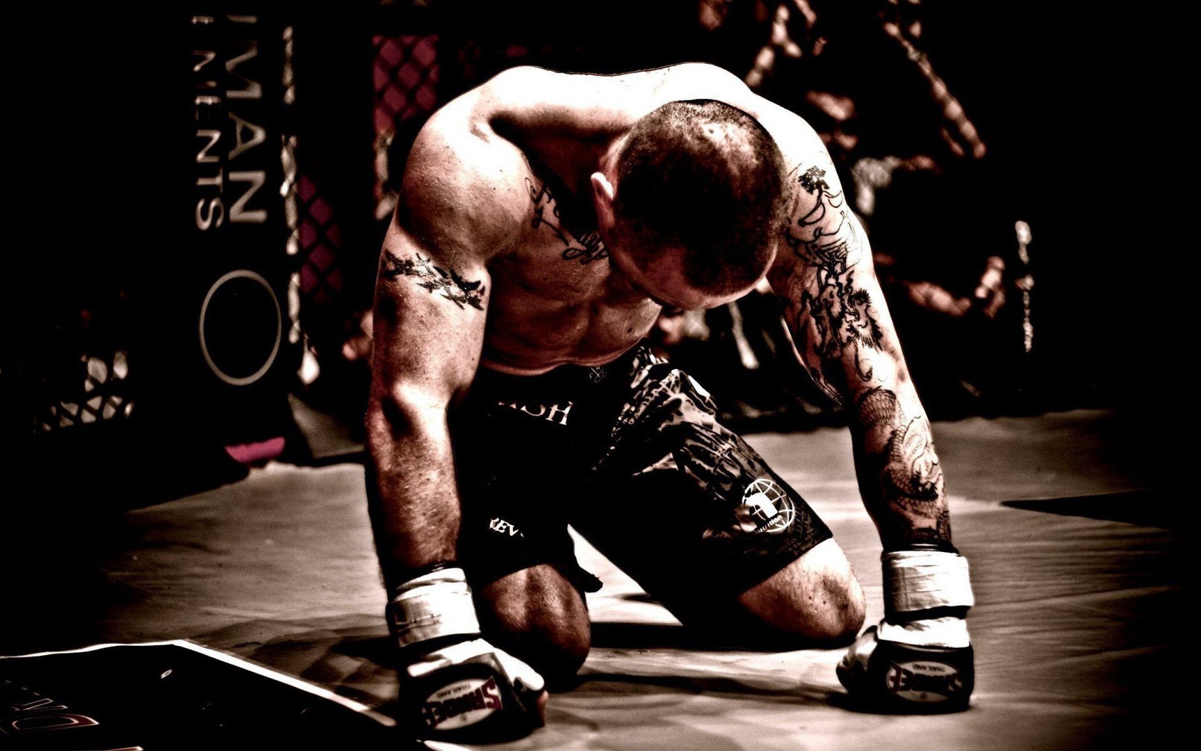 Boxing Wallpaper.jpg