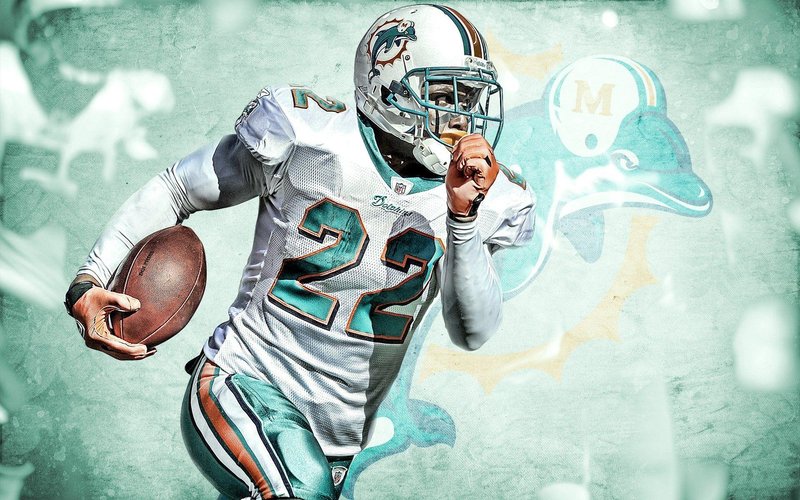 Miami Dolphins