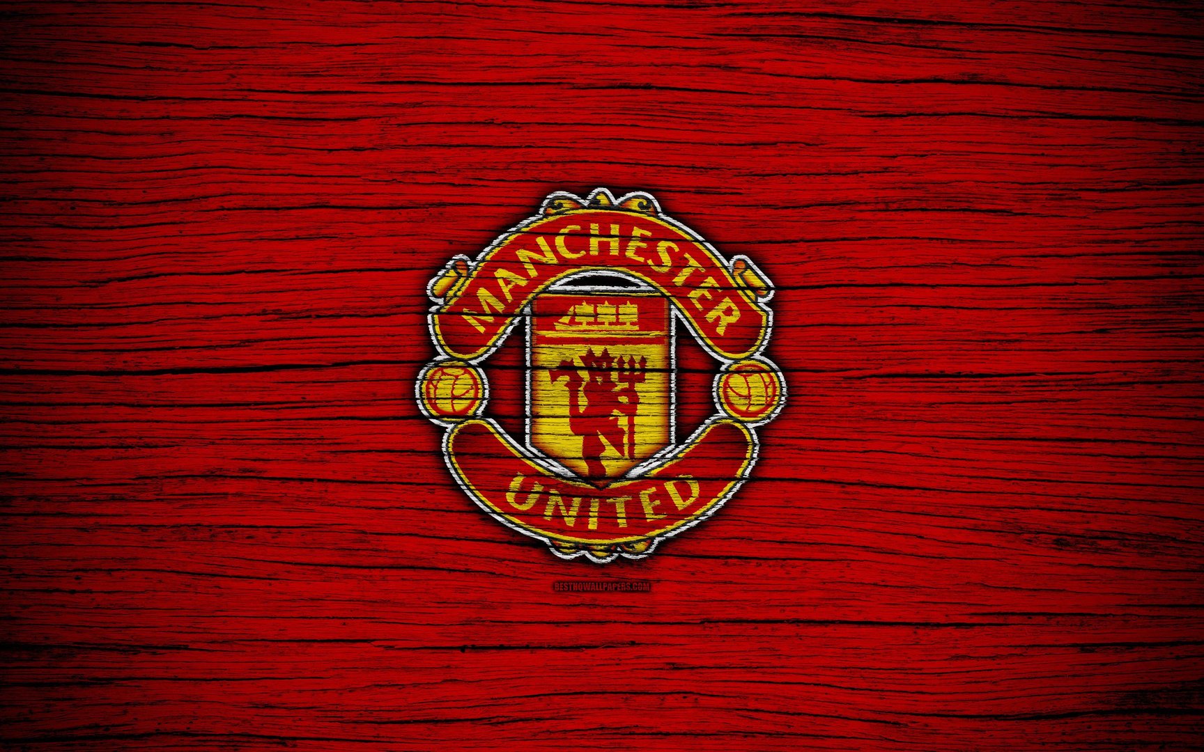 Manchester United pics.jpg