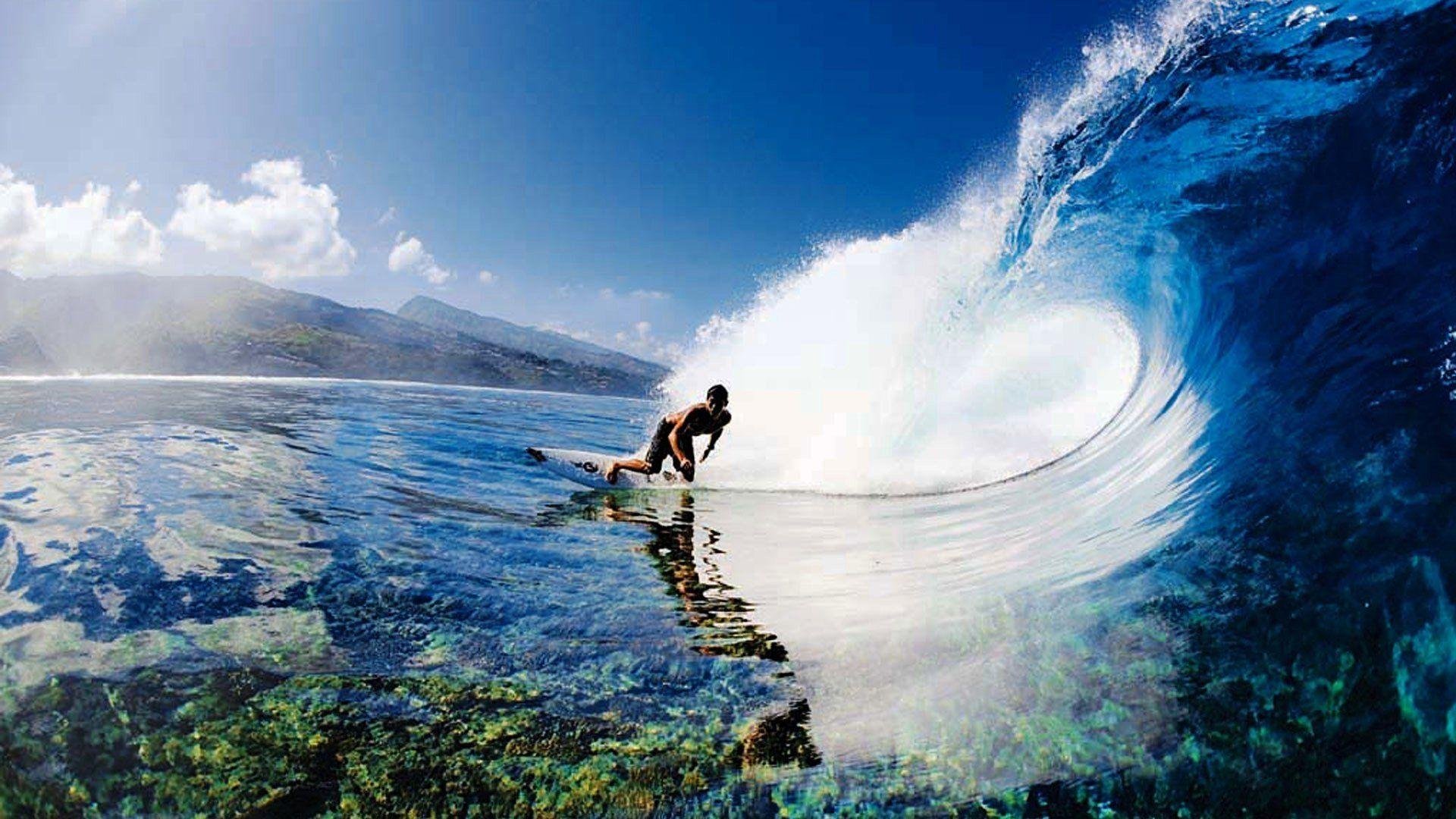 Surfing Wallpapers.jpg