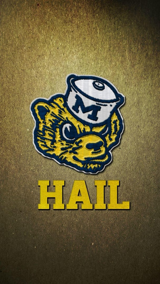 Michigan Wolverines Picture.jpg