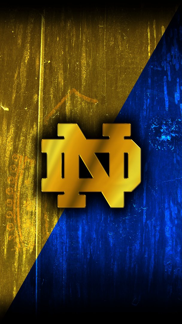 Notre Dame Picture.png