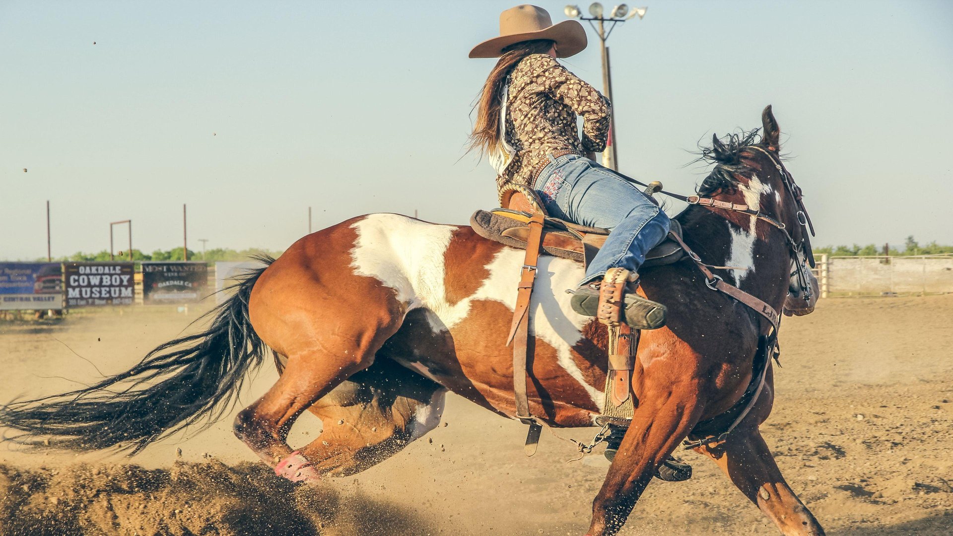 Rodeo Wallpapers.jpg