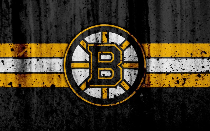 Boston Bruins