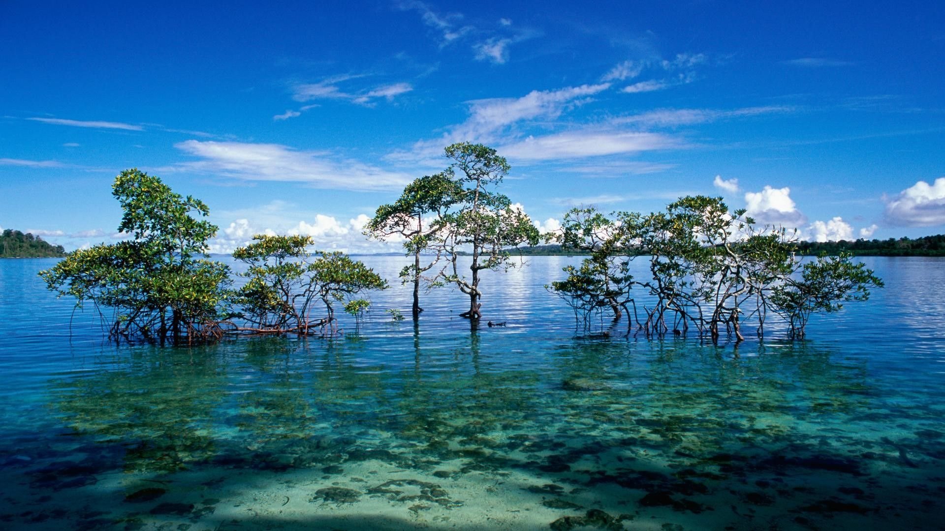 Desktop Pc Nature Cool Wallpaper.jpg