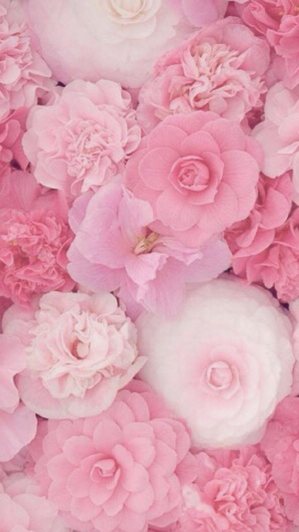 Pink iPhone pics.jpg