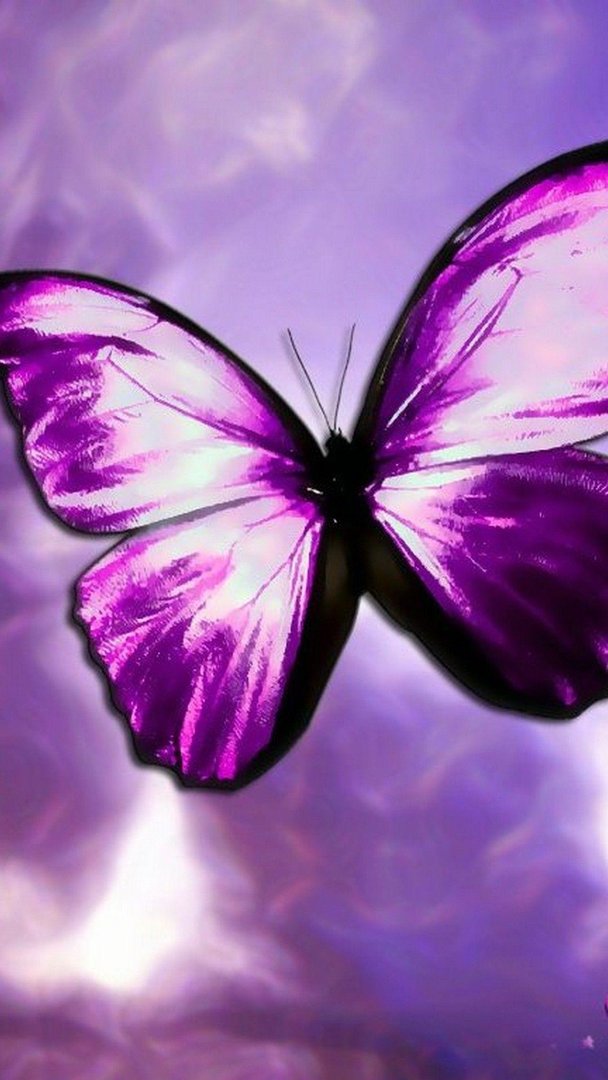 Purple Butterfly Phone Wallpapers.jpg