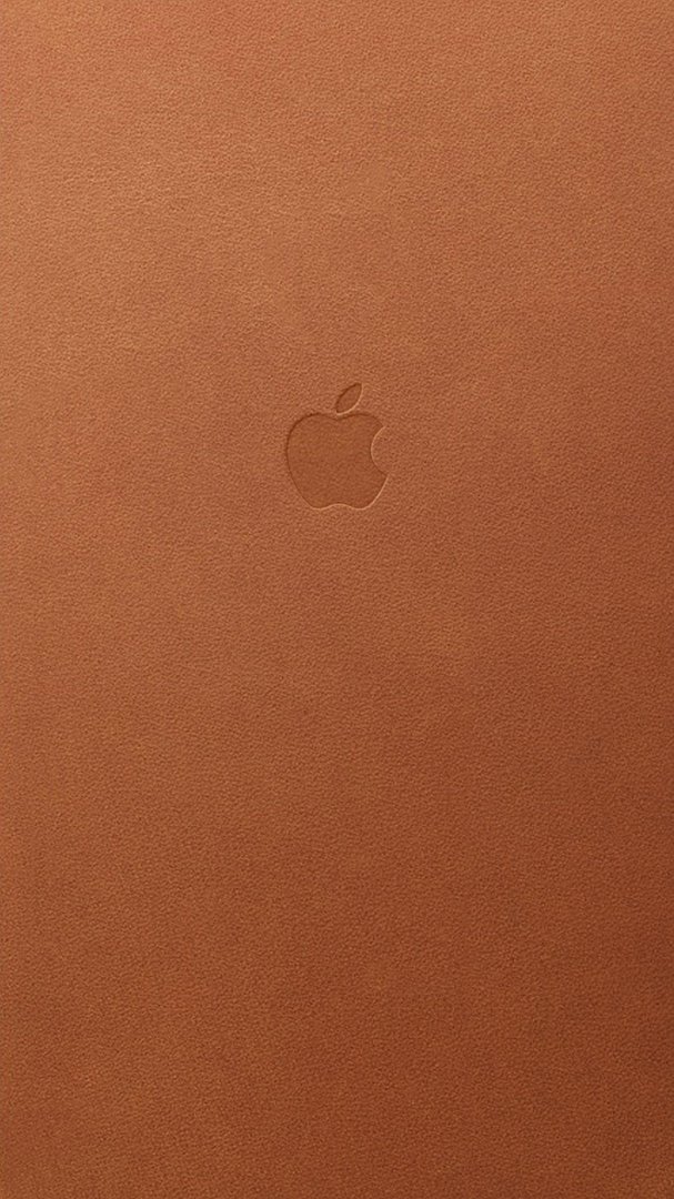 Brown iPhone Pic.jpg