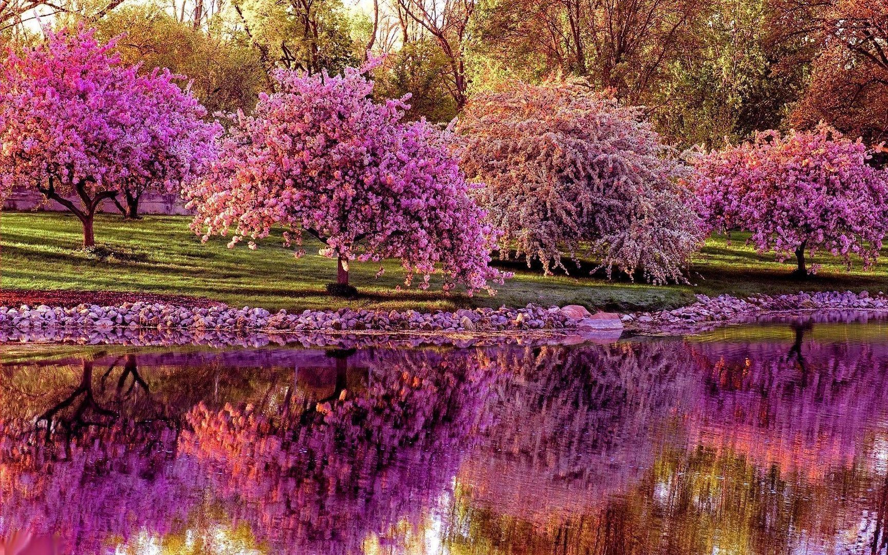 Spring Desktop pictures.jpg