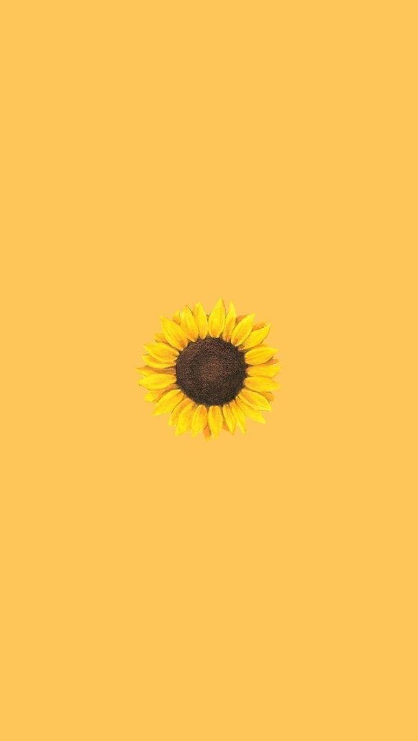 Aesthetic Sunflower Phone image.jpg