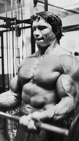 Arnold iPhone