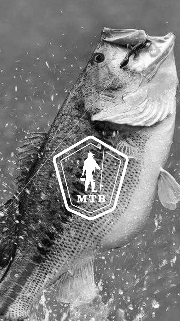 Fishing Phone wallpaper.png