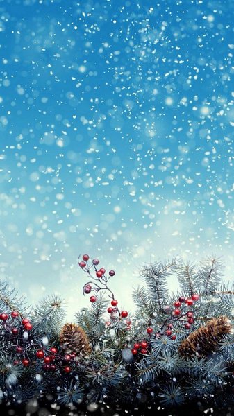Christmas iPhone