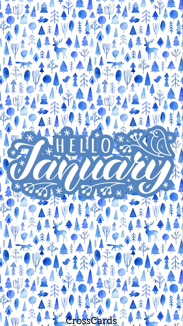 January Phone picture.png