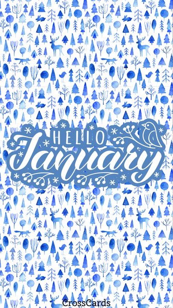 January Phone