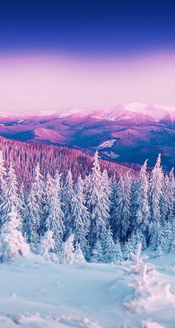 Winter iPhone wallpapers.png