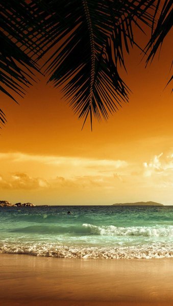 Beach iPhone