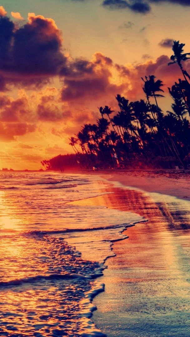 Nature iPhone wallpaper.jpg