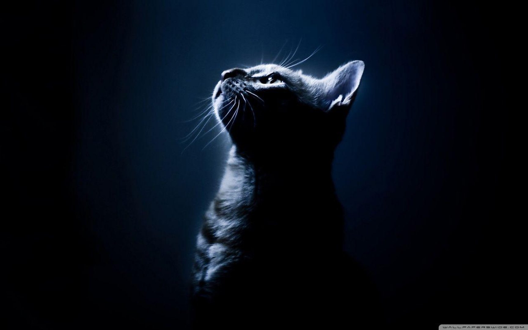 Dark PC wallpaper.jpg