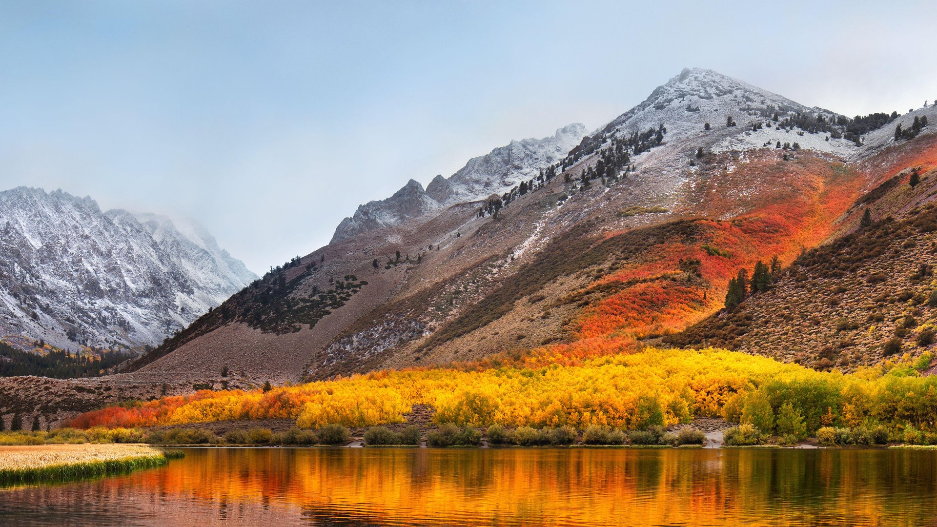Mac OS wallpaper.jpg