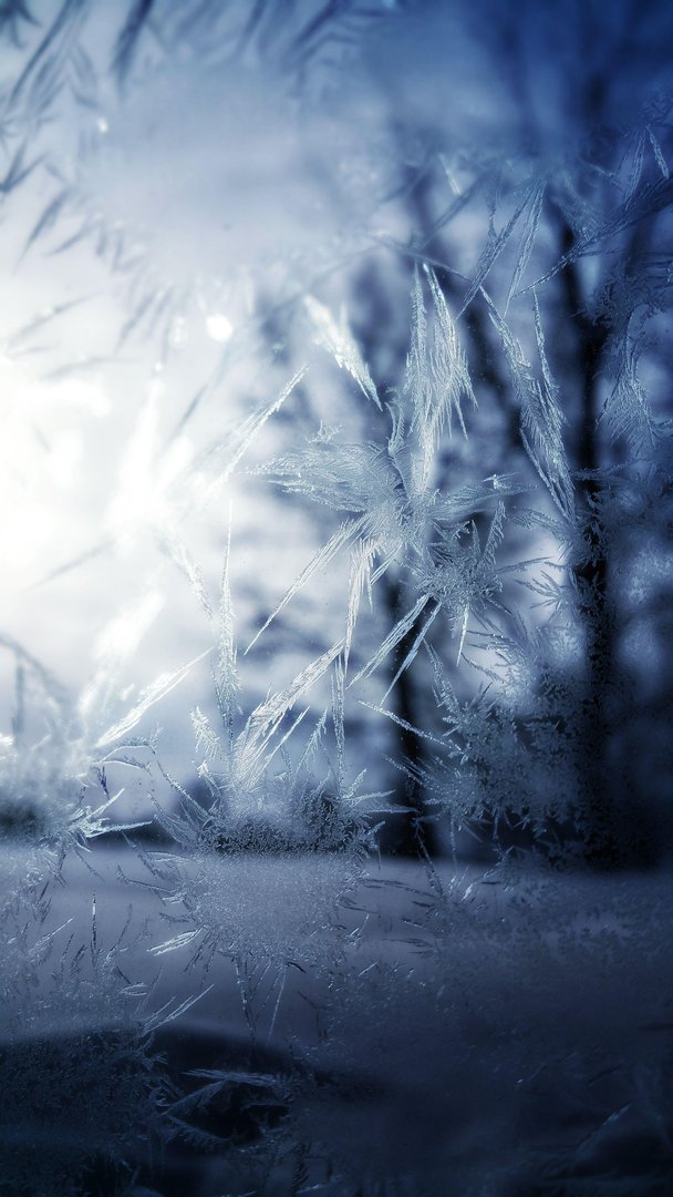 Winter Phone wallpaper.jpg