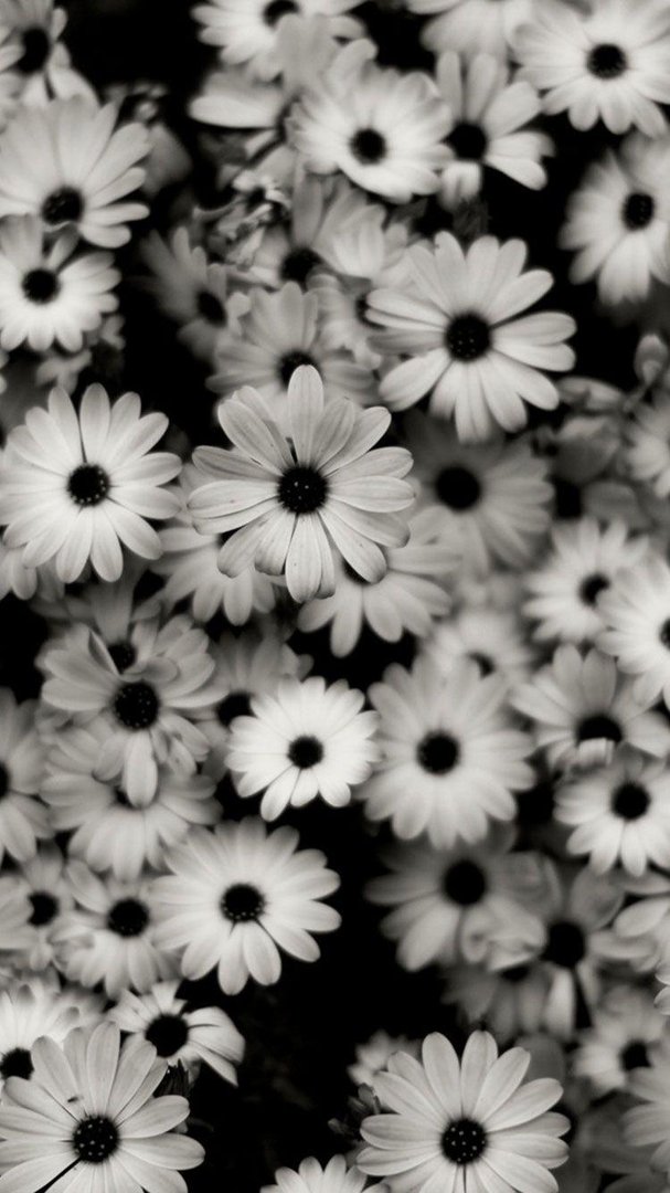 Black & White iPhone pics.jpg