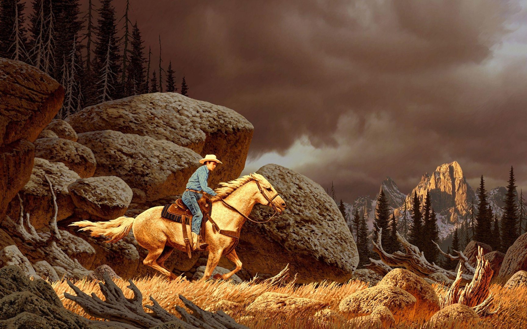 Western Laptop Image.jpg