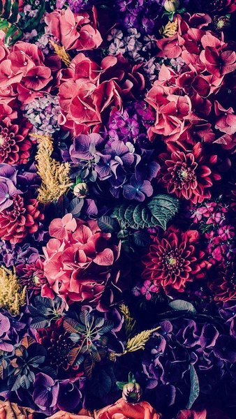 Flower Phone