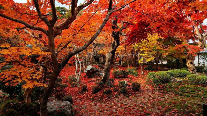 Beautiful Autumn Desktop