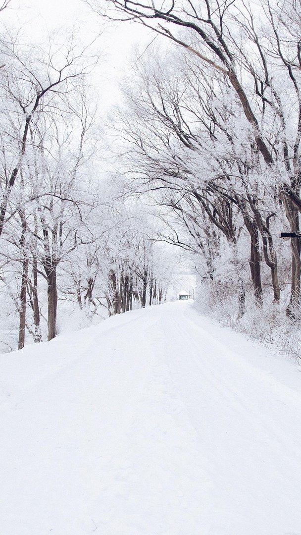 Snow iPhone Wallpaper.jpg