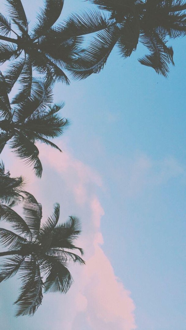Cute Aesthetic IPad Images.jpg
