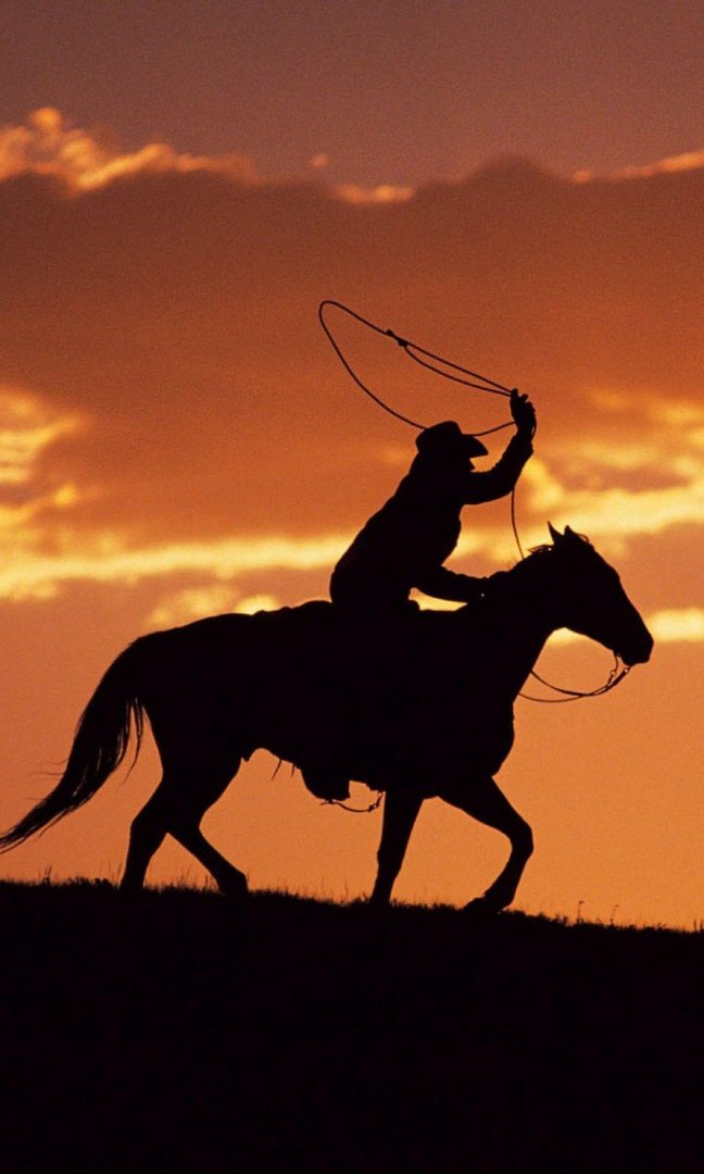 Cowboy iPhone Wallpaper.jpg